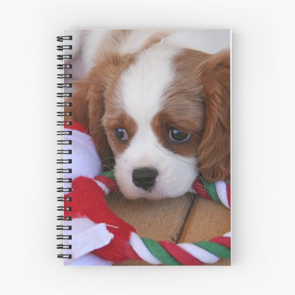 Item preview, Christmas Is So Tiring designed and sold by Jenny Brice.