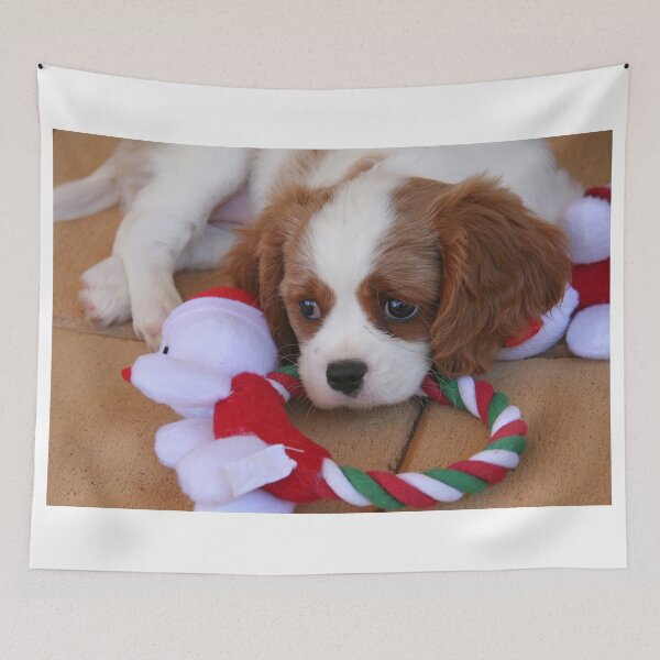 Item preview, Christmas Is So Tiring designed and sold by Jenny Brice.