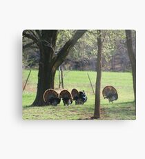We are out of here Metal Print