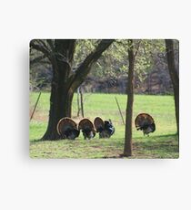 We are out of here Canvas Print