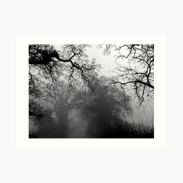 Mist in the Trees Art Print