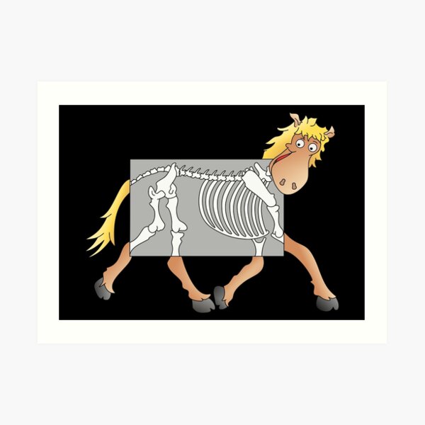 &ldquo;Horse Xray cartoon&rdquo; Art Print by piedaydesigns | Redbubble