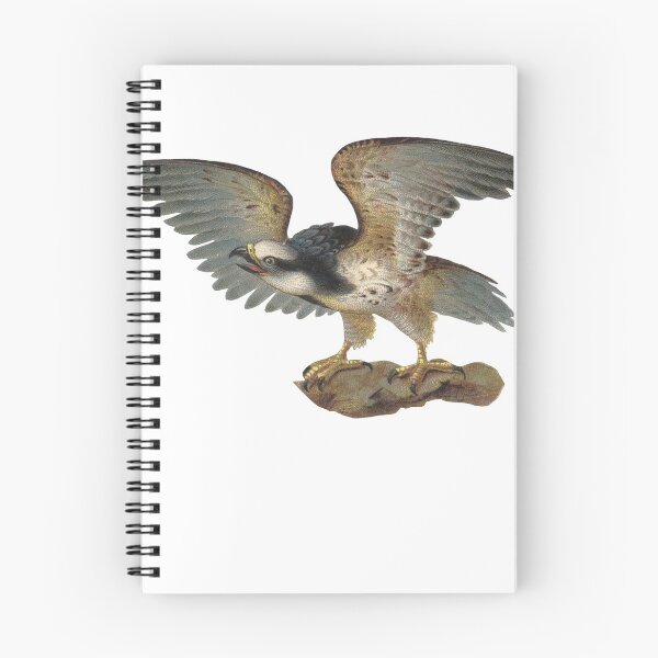 Item preview, Vintage victorian eagle decal  designed and sold by kustom.