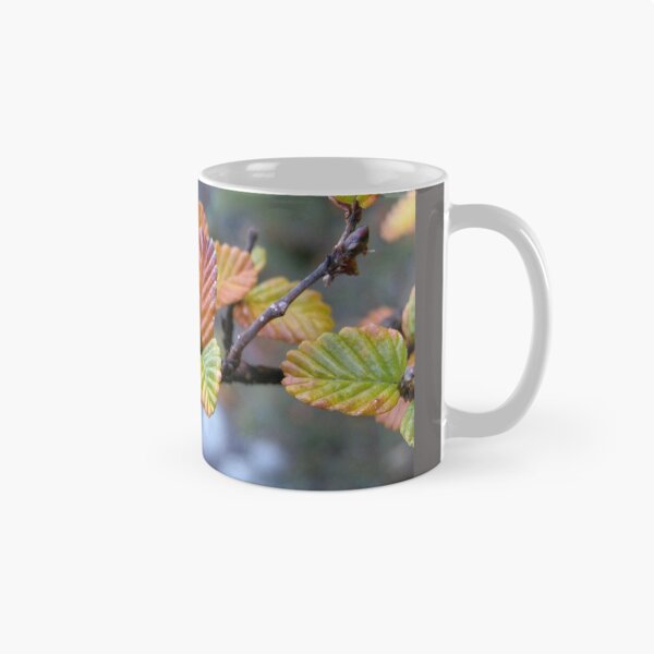 Item preview, Fagus in the afternoon sun, Cradle Mountain,Tasmania, Australia. designed and sold by kaysharp.