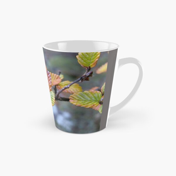 Item preview, Fagus in the afternoon sun, Cradle Mountain,Tasmania, Australia. designed and sold by kaysharp.