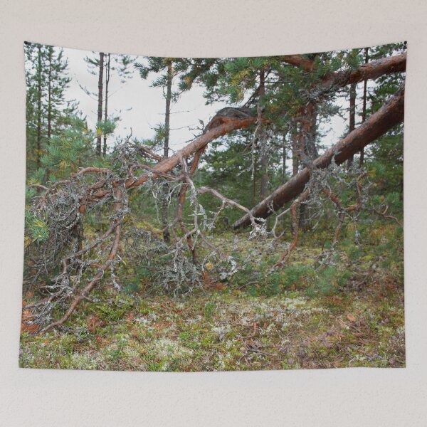 Item preview, Getting Closer To Lapland designed and sold by Niina  Niskanen.