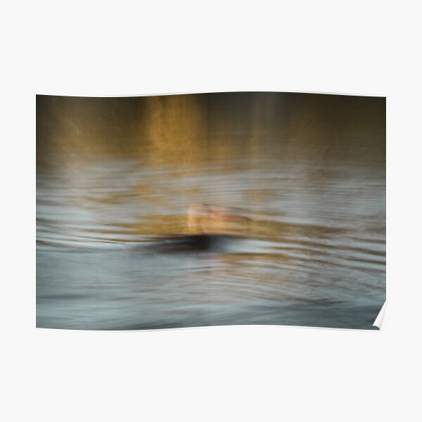 Die Ente Poster