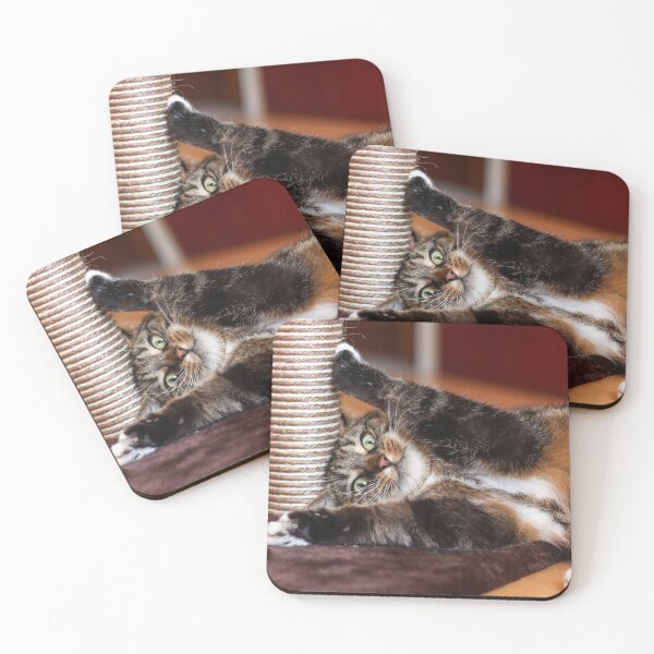 Item preview, Cat on catnip designed and sold by GreyFeatherPhot.