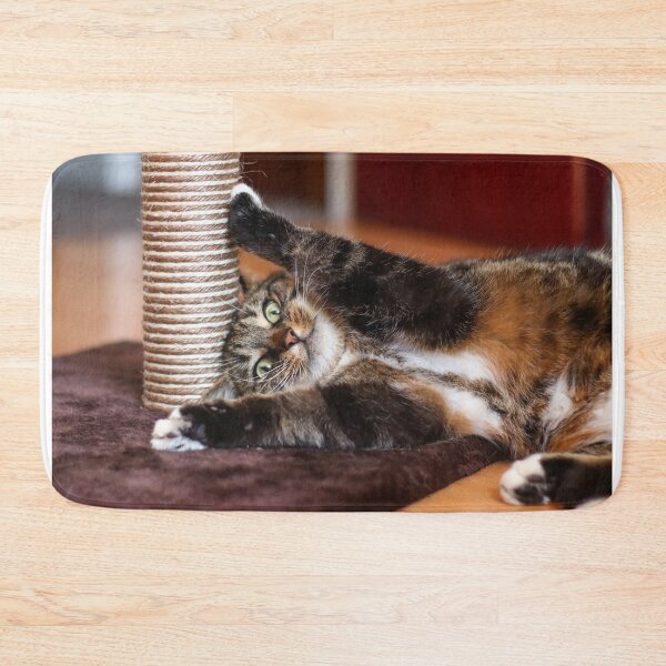 Item preview, Cat on catnip designed and sold by GreyFeatherPhot.