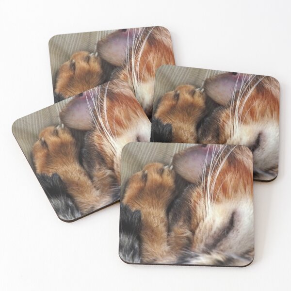 Item preview, Sleepy cat  designed and sold by designbywhacky.