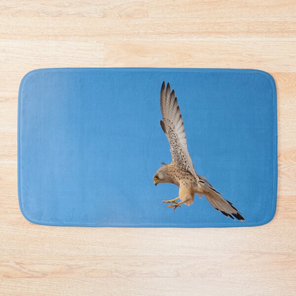 Item preview, Female lesser kestrel flying, Trujillo, Extremadura, Spain designed and sold by AndrewJonesFoto.
