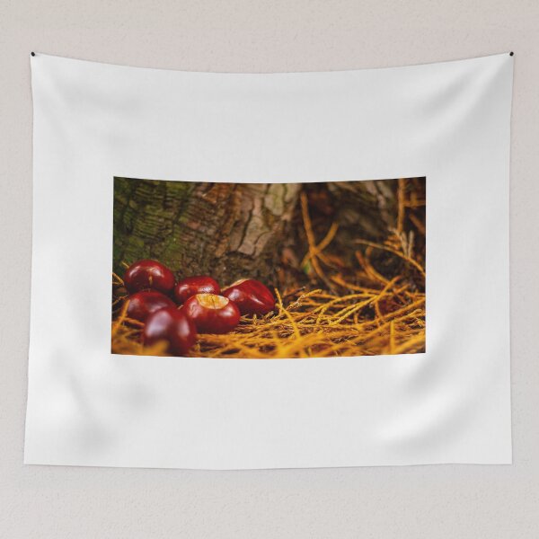 Item preview, Autumn Conkers designed and sold by kwn1804.