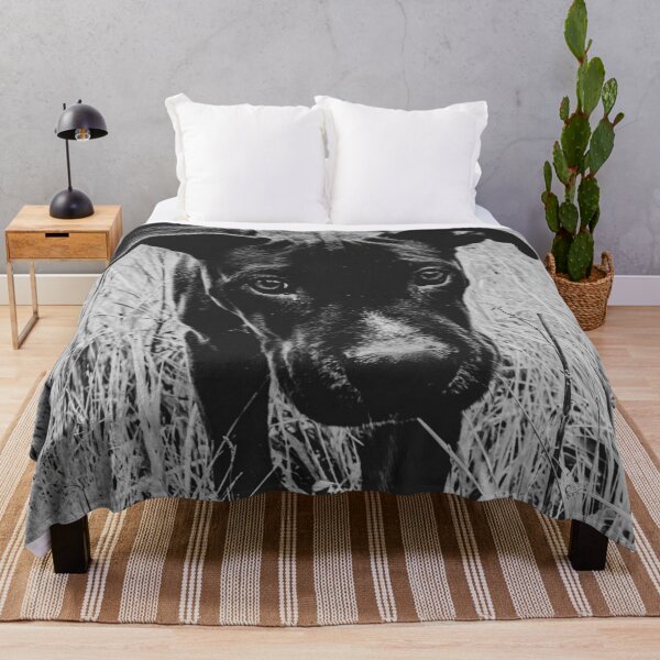 Item preview, Doggy in the Field // BW Filter Hiking by Rustic Abandoned Log Cabin Summit Colorado designed and sold by catbyrdcolorado.