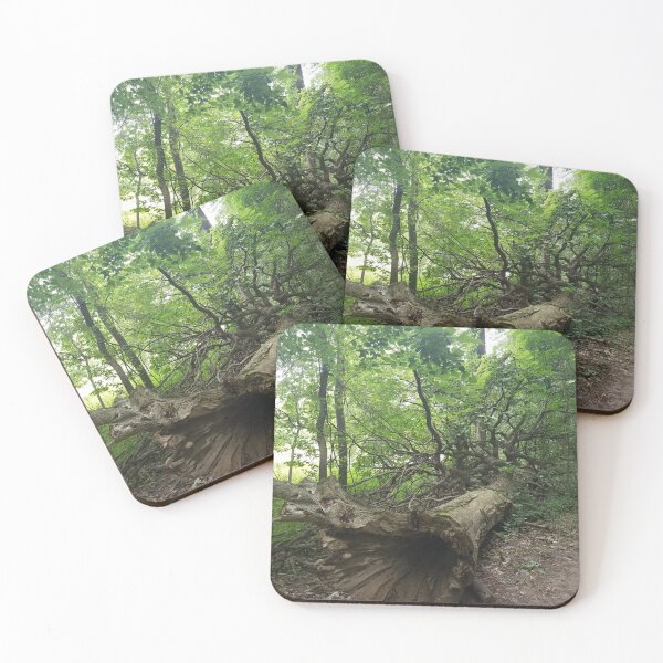 Item preview, Fallen Tree  designed and sold by melzie3.