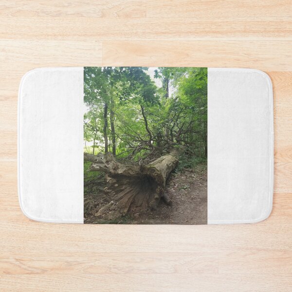 Item preview, Fallen Tree  designed and sold by melzie3.