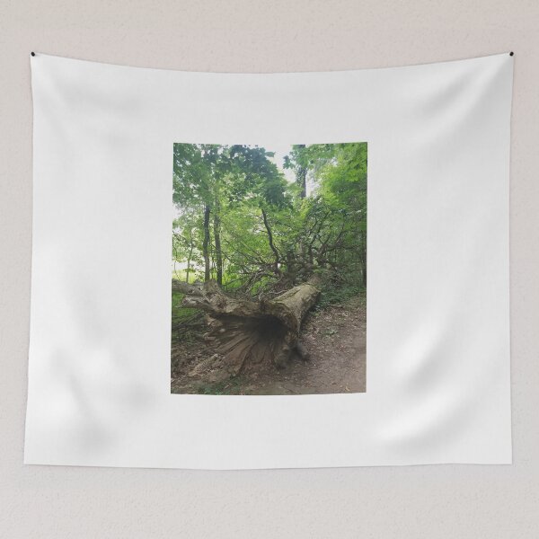 Item preview, Fallen Tree  designed and sold by melzie3.