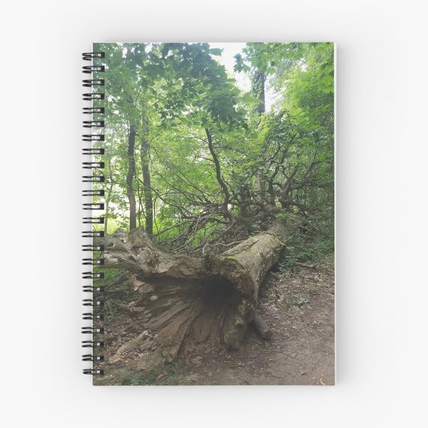 Item preview, Fallen Tree  designed and sold by melzie3.