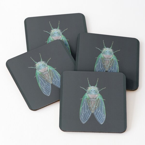 Newborn Cicada Coasters (Set of 4)