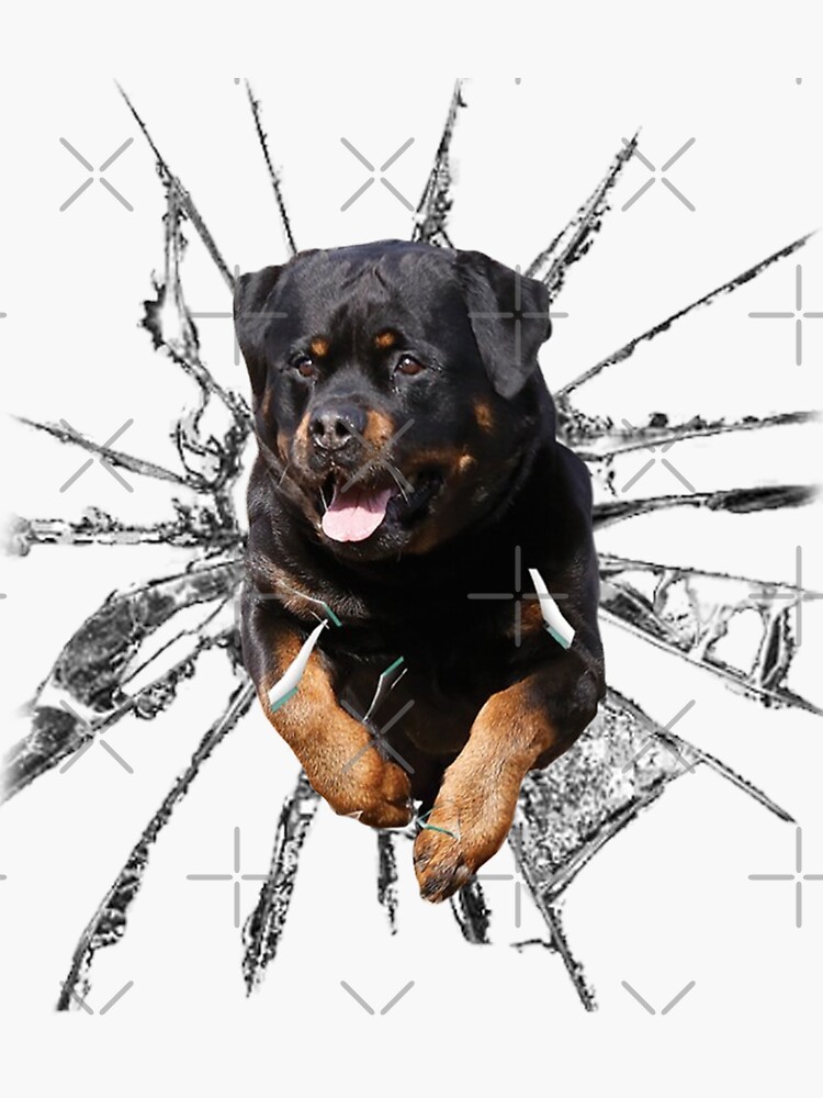 Rottweiler 2024 car sticker