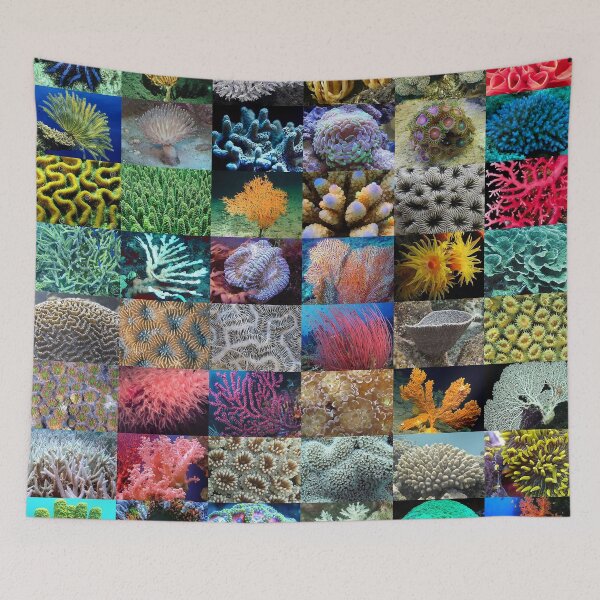 Item preview, Coral designed and sold by Montage-Madness.