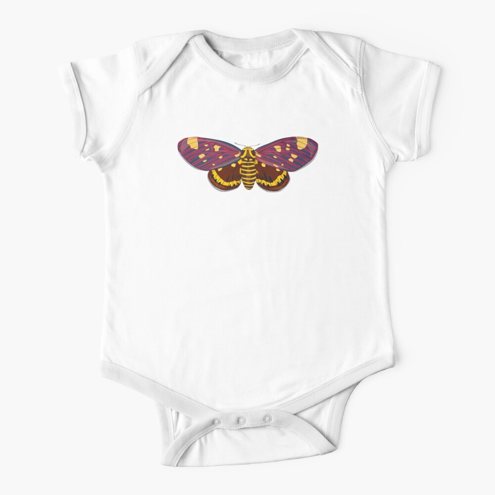 How Many Babies Do Moths Have