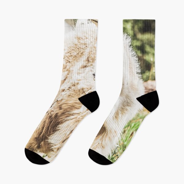 Item preview, Wild Goat // White Fur Profile Picture Shot at Yosemite National Park designed and sold by catbyrdcolorado.