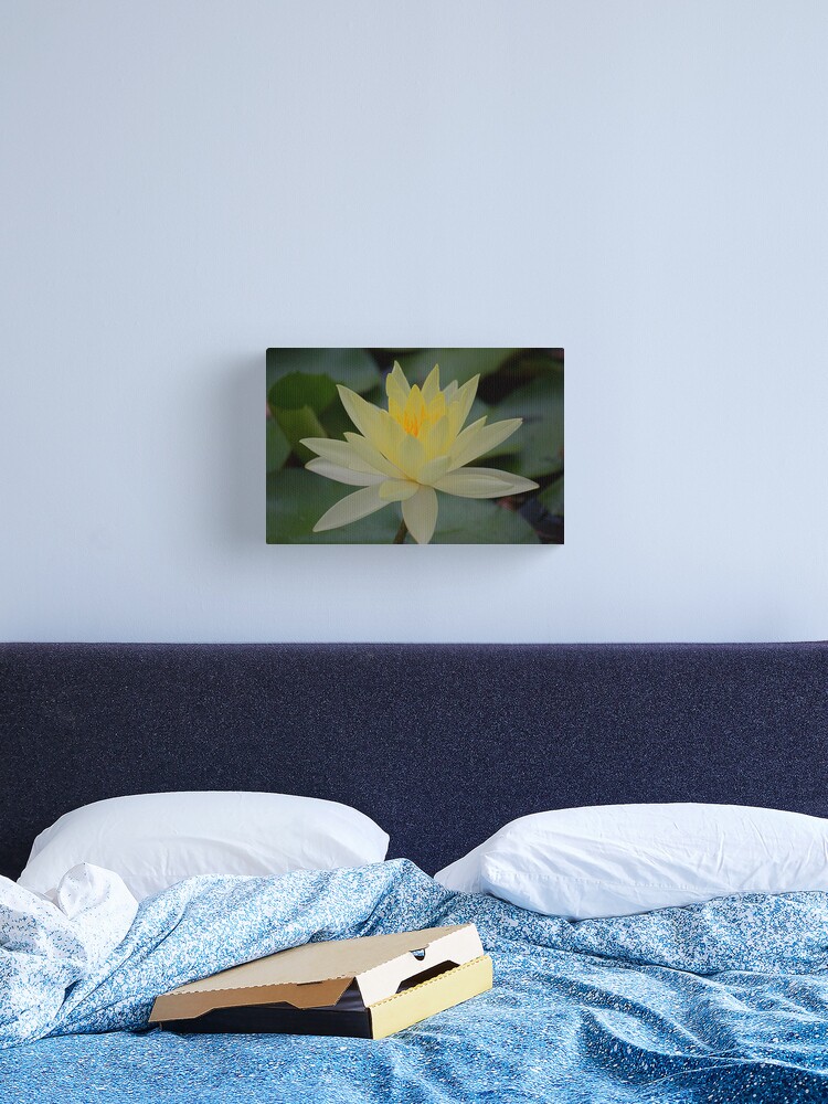 Thumbnail 2 of 3, Canvas Print, Yellow Waterlily designed and sold by RICHARDW.