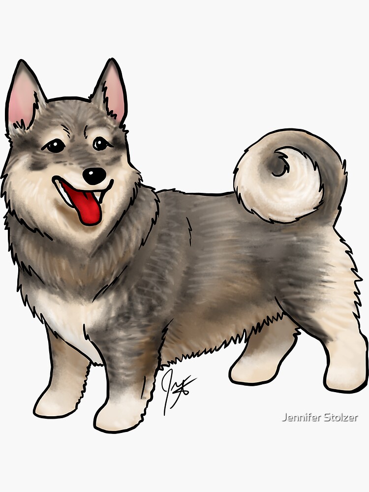 Swedish Vallhund by jameson9101322