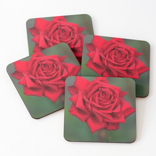 Item preview, red rose on autumn background designed and sold by olena2552.