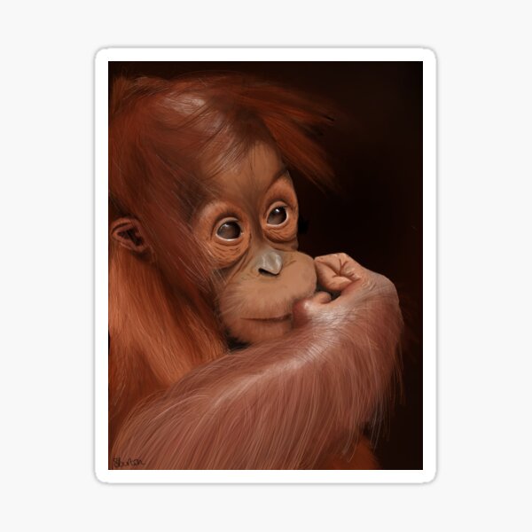 Item preview, Orangutan  designed and sold by DiaryOfDrawing.