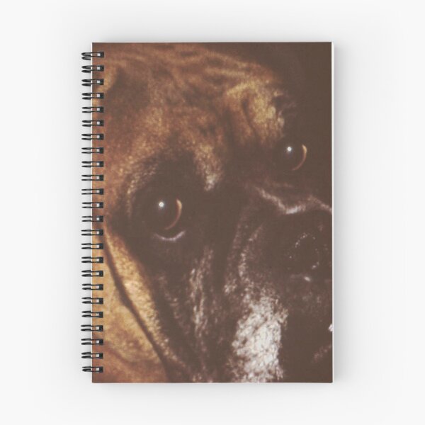 Item preview, Our Boxer.Quino designed and sold by Robert Elfferich.