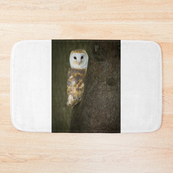 Item preview, Barn Owl 1 designed and sold by Nigel R Bell Photography.