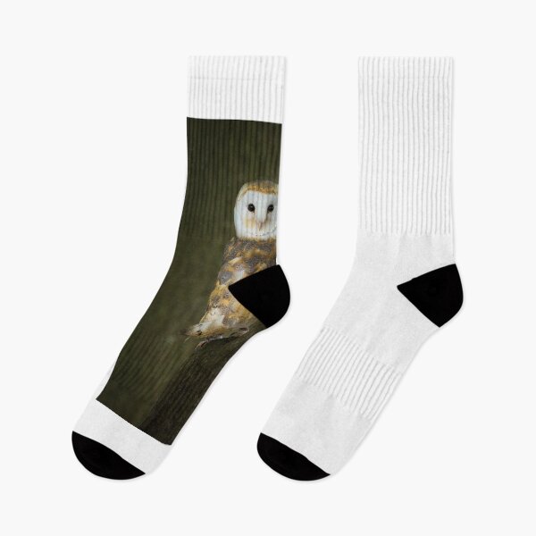 Item preview, Barn Owl 1 designed and sold by Nigel R Bell Photography.