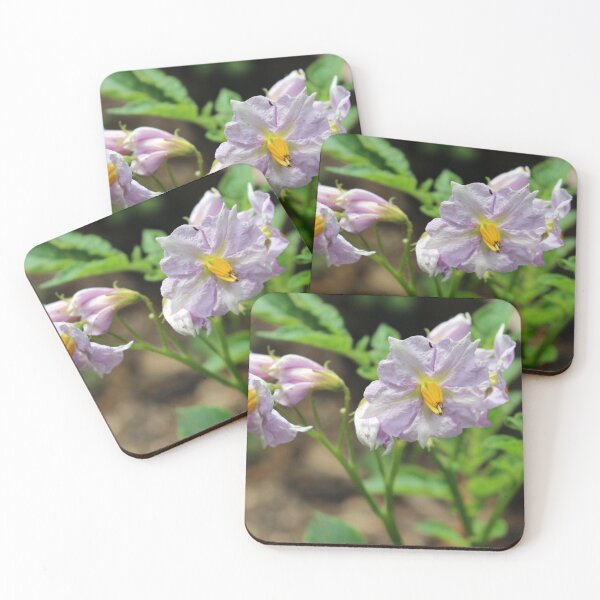 Item preview, Potato Plant Flowers designed and sold by pinkal.