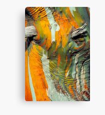 Snow Gum Bark Canvas Print