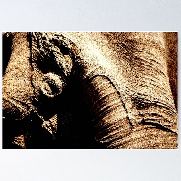 Item preview, Trees can speak-5 designed and sold by Padmakar Kappagantula.