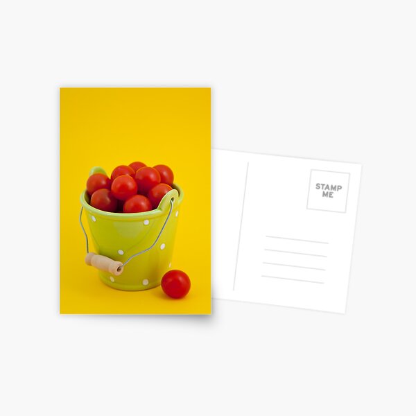 Bucket of cherry tomatoes Postcard