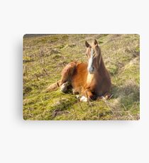 Is my hair in my eyes? Metal Print