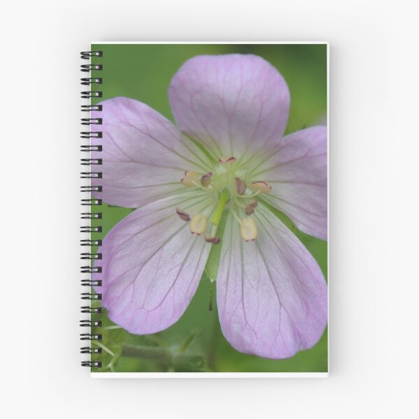 Item preview, Wild Geranium designed and sold by Ron Russell.