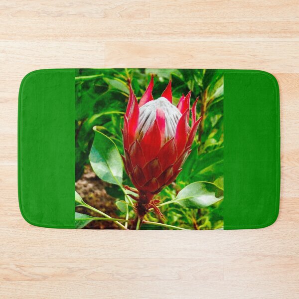 Item preview, The King Protea designed and sold by PictureNZ.