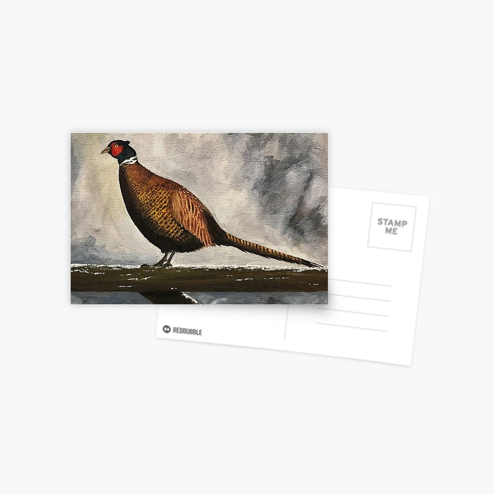 Pheasant in Winter - Blank Card Postcard