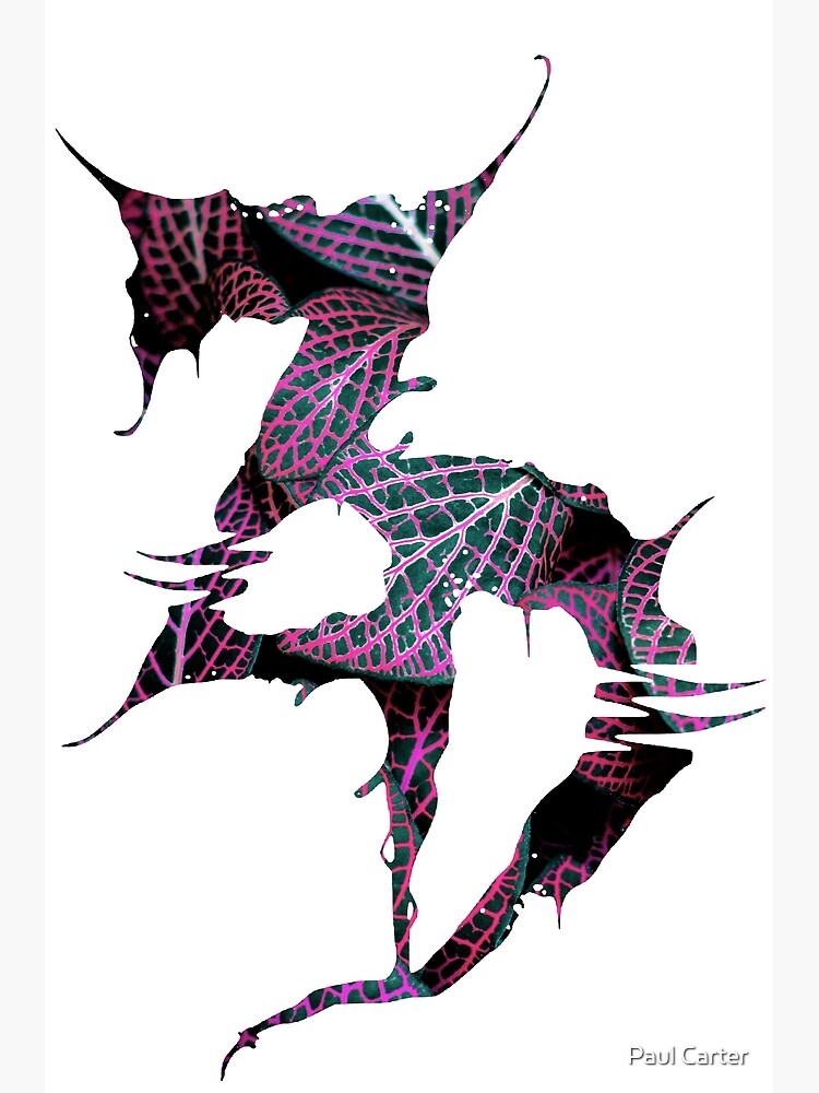 【保存版】 Zeds Dead 絵画