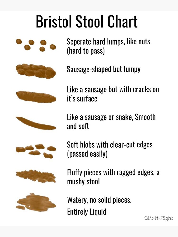 Bristol Stool Chart Dogs | Images and Photos finder