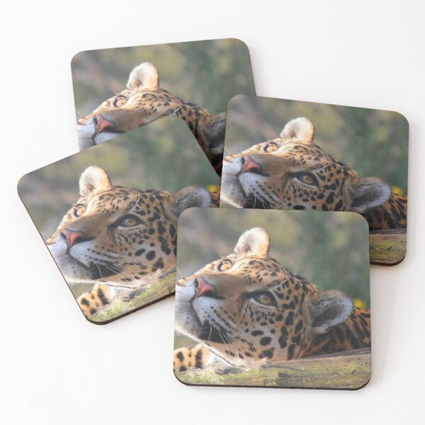 Item preview, wildcat thinking  designed and sold by cyprusst.