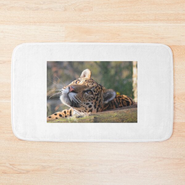Item preview, wildcat thinking  designed and sold by cyprusst.