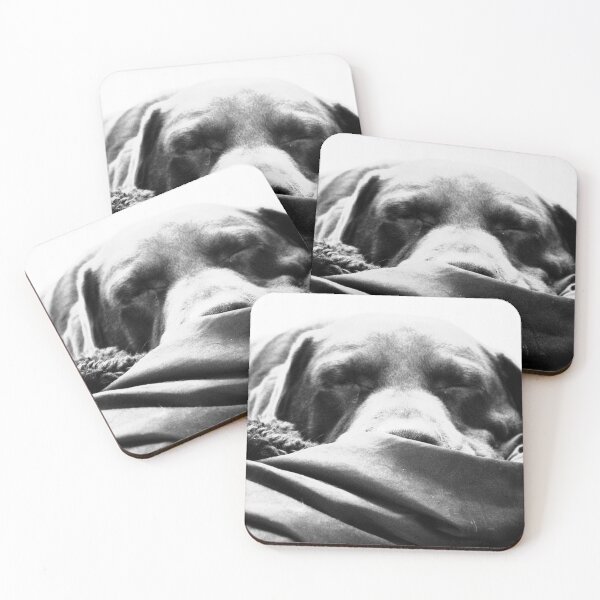 Item preview, Let Sleeping Dogs Lie designed and sold by cyprusst.