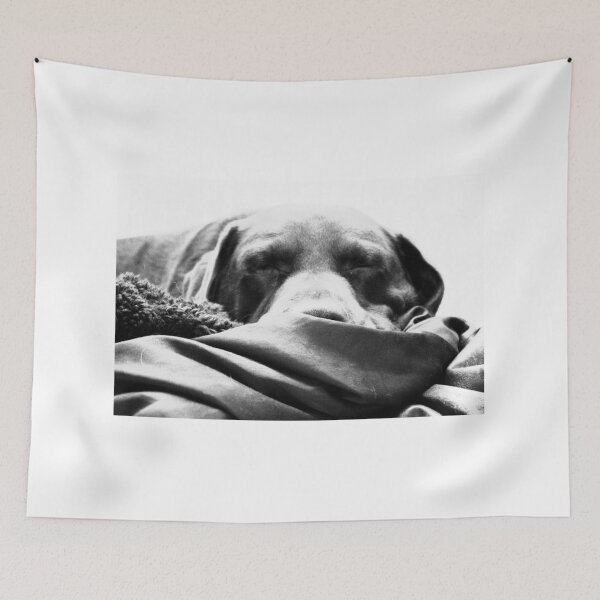 Item preview, Let Sleeping Dogs Lie designed and sold by cyprusst.