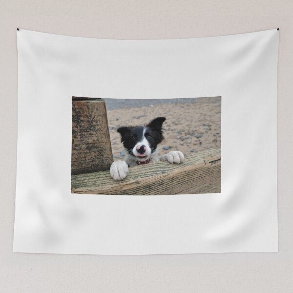 Item preview, Jess designed and sold by Alex johnson Landscape Photography.