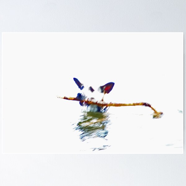 Item preview, fetch designed and sold by Alan Findlater.