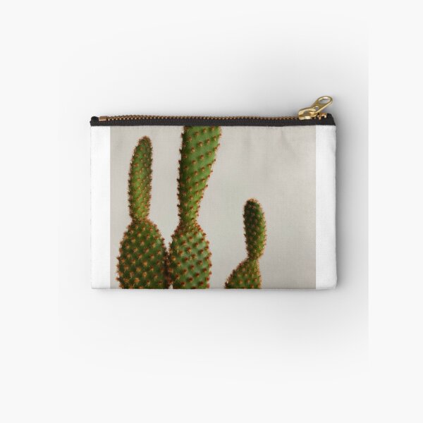 Item preview, Cactus 4 designed and sold by Curae1.